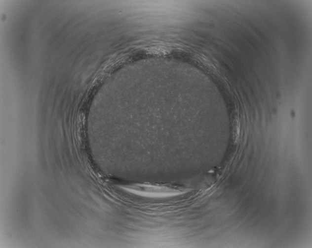 X0000057100229200509231724