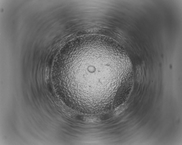 X0000057100230200509231724