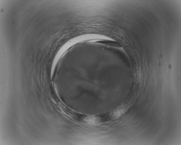 X0000057100231200509231724