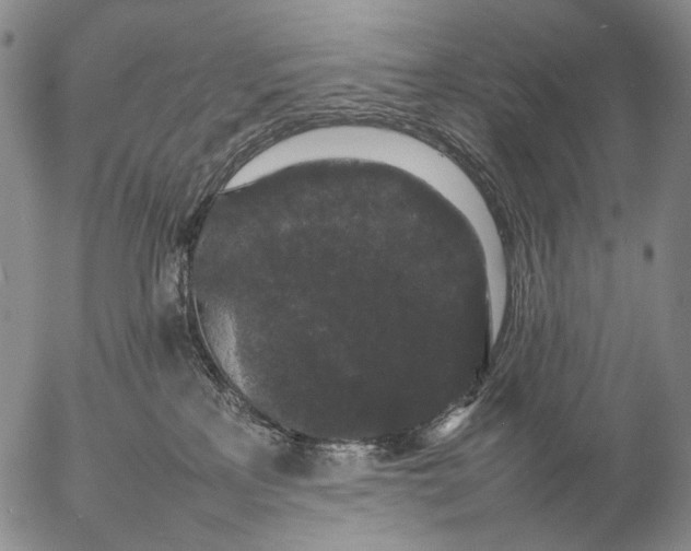 X0000057100233200509231724