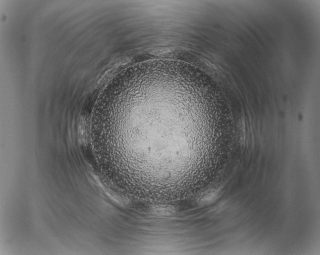 X0000057100234200509231724