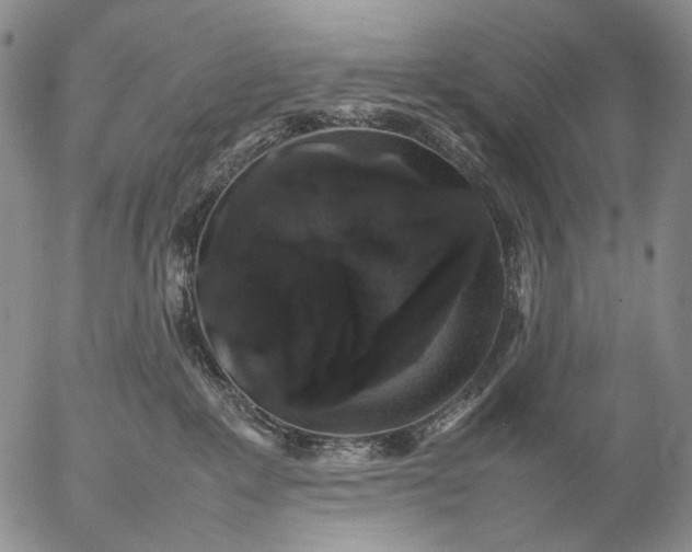 X0000057100235200509231724