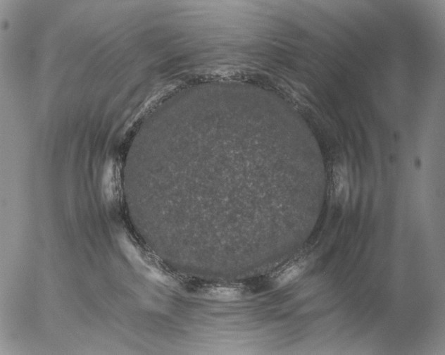 X0000057100236200509231724