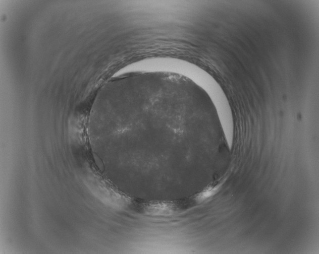 X0000057100237200509231724