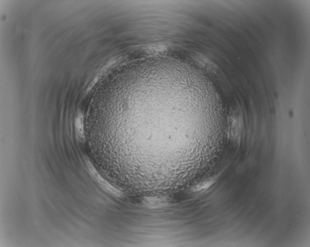 X0000057100238200509231724