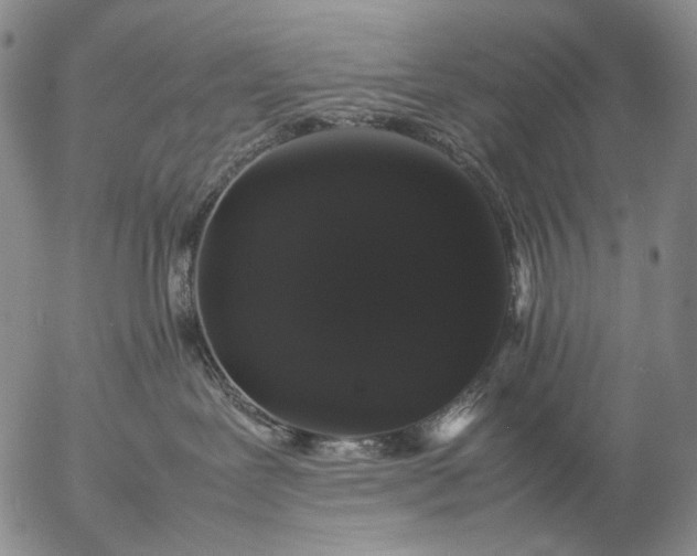 X0000057100239200509231724