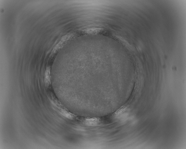 X0000057100240200509231724