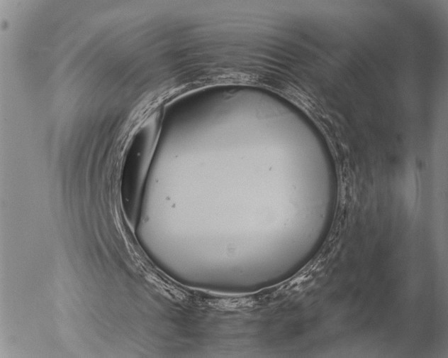 X0000057100241200509231723