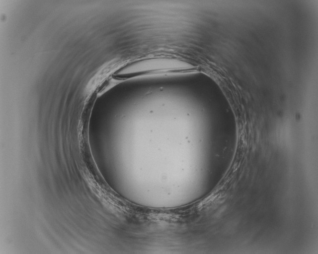 X0000057100242200509231723