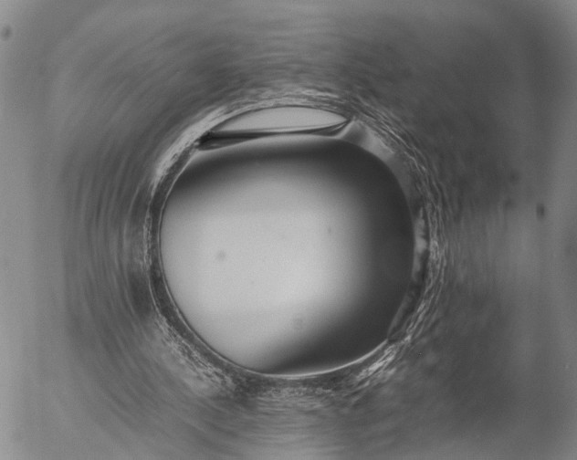 X0000057100244200509231723