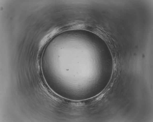 X0000057100245200509231723