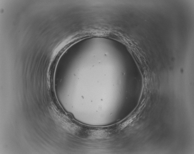 X0000057100246200509231723