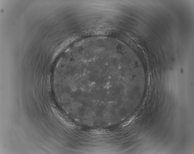 X0000057100250200509231723