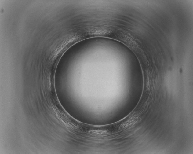 X0000057100251200509231723