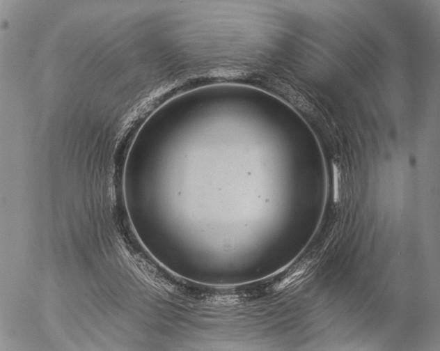 X0000057100252200509231723