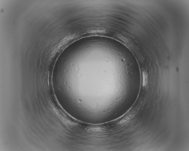 X0000057100253200509231723