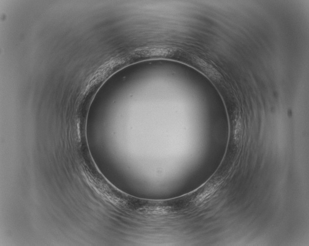 X0000057100254200509231723