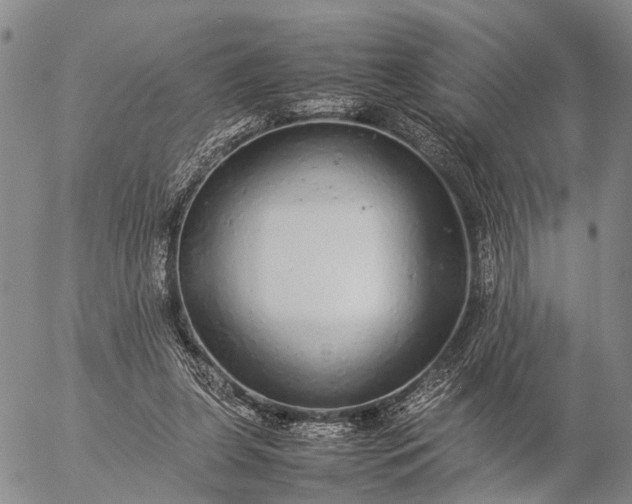 X0000057100255200509231723