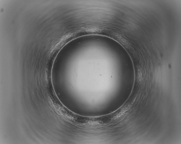 X0000057100256200509231723