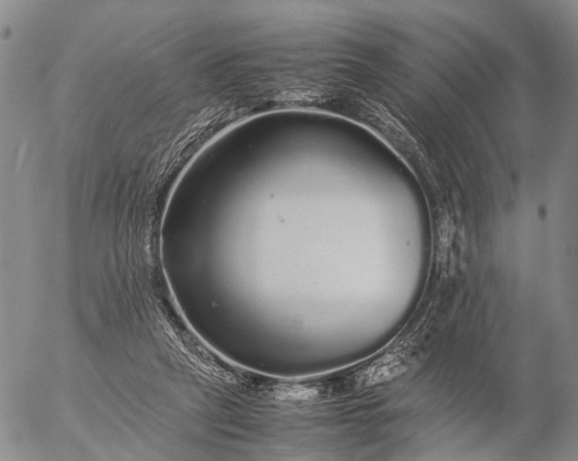 X0000057100257200509231723