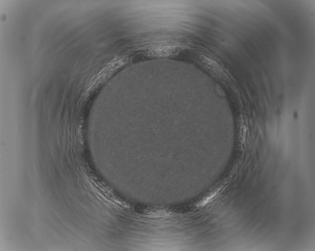 X0000057100258200509231723