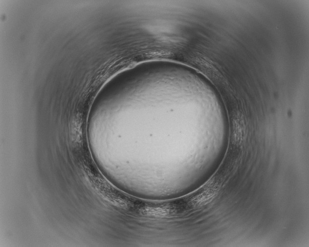 X0000057100259200509231723