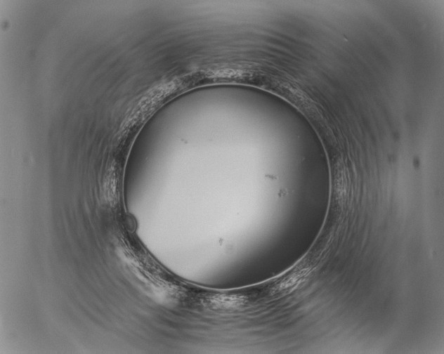 X0000057100261200509231723