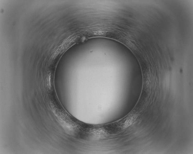 X0000057100262200509231723