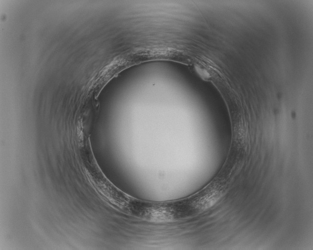 X0000057100264200509231723