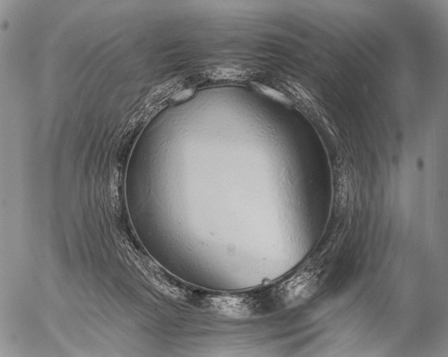 X0000057100265200509231723