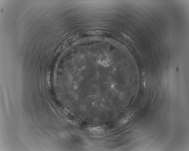 X0000057100267200509231723