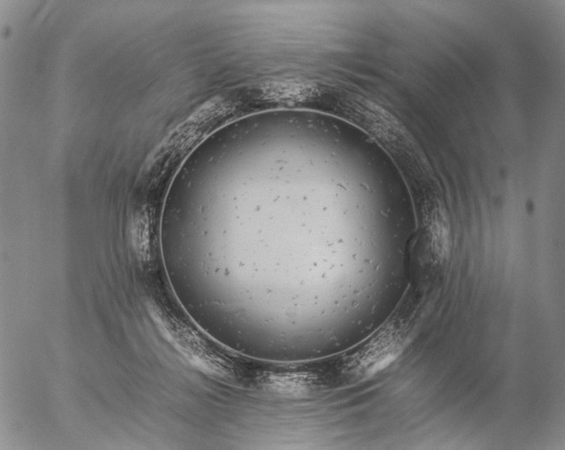 X0000057100268200509231723