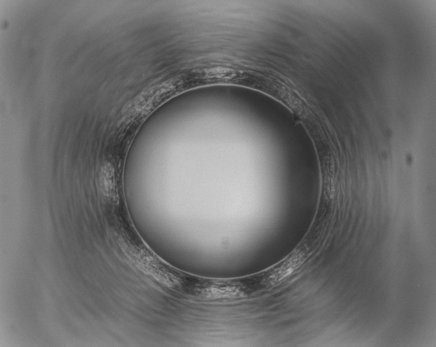 X0000057100270200509231723