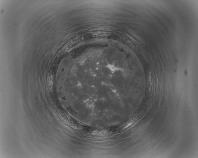 X0000057100271200509231724