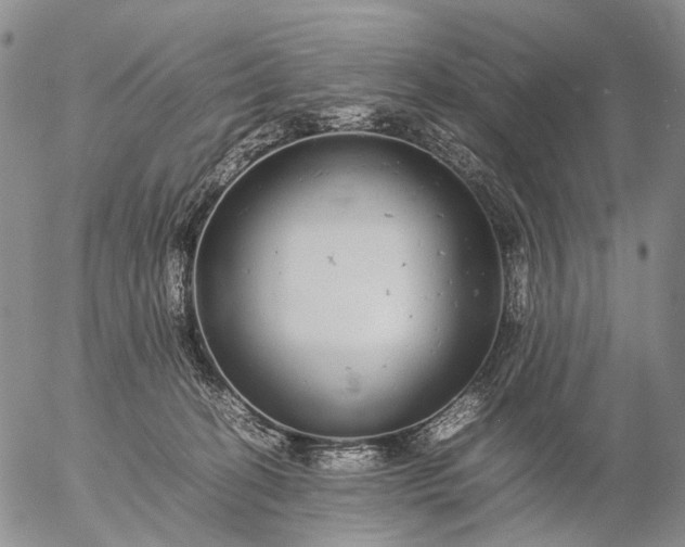 X0000057100274200509231724