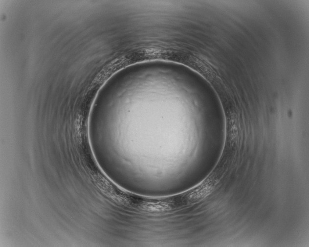 X0000057100275200509231724