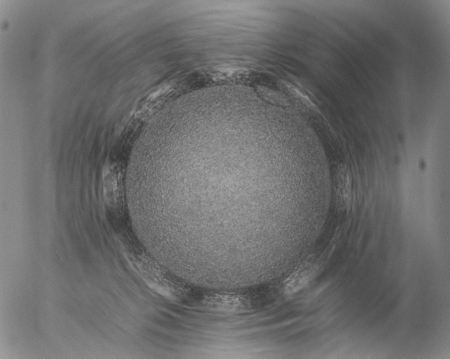 X0000057100276200509231724