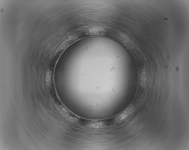 X0000057100278200509231724