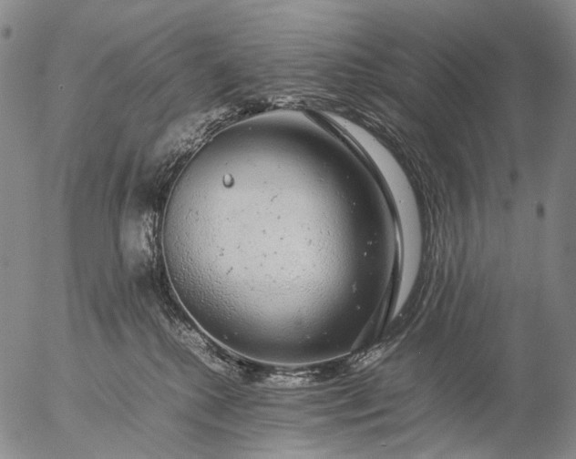 X0000057100280200509231724