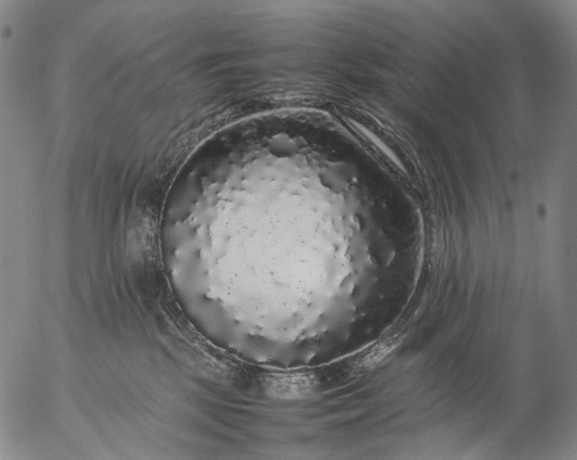 X0000057100281200509231724