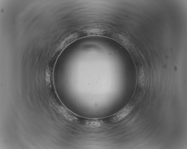 X0000057100282200509231724