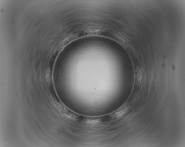 X0000057100283200509231724