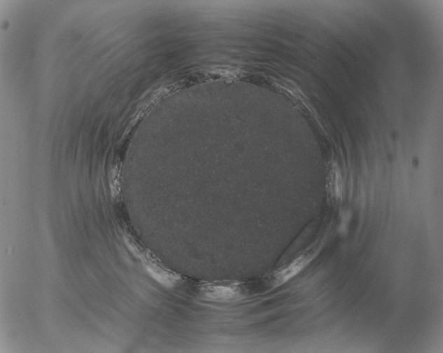 X0000057100285200509231724