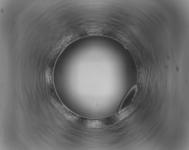 X0000057100287200509231724