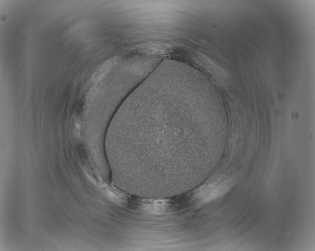 X0000057100288200509231724