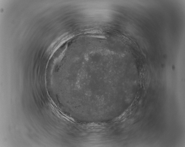 X0000057100290200509231723