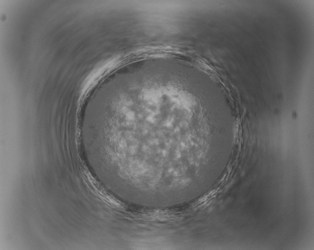 X0000057100293200509231723