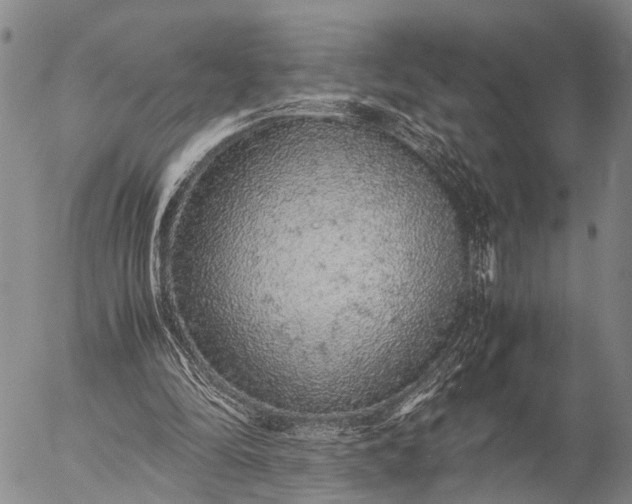 X0000057100294200509231723