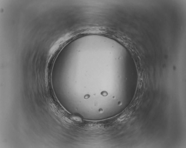 X0000057100296200509231723