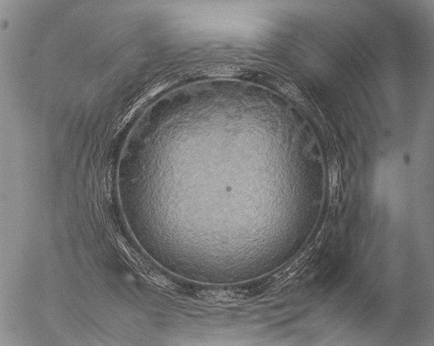 X0000057100297200509231723